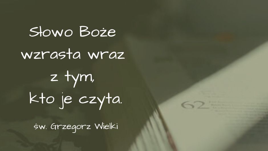 2020.04.28 Czytam i nie widze owocow 1